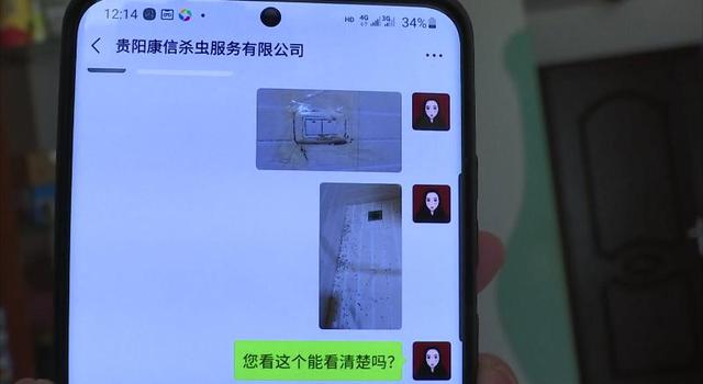 飞蚁为什么会出现在家中，家里为什么有飞蚂蚁（贵阳市民家里出现“小虫子”）