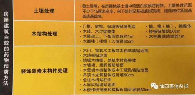 飞蚁为什么会出现在家中，家里为什么有飞蚂蚁（贵阳市民家里出现“小虫子”）