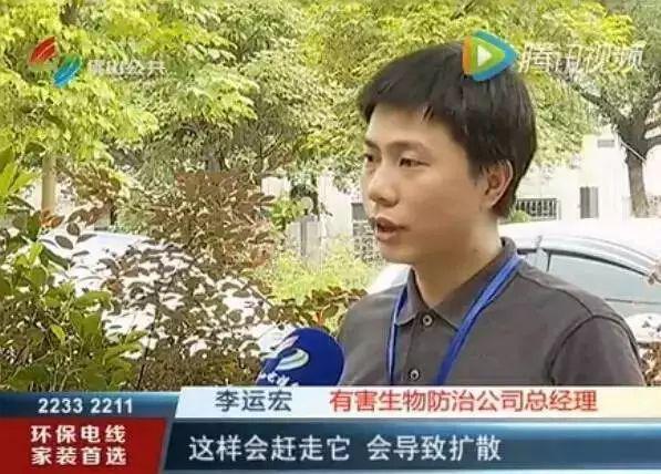 飞蚁为什么会出现在家中，家里为什么有飞蚂蚁（贵阳市民家里出现“小虫子”）