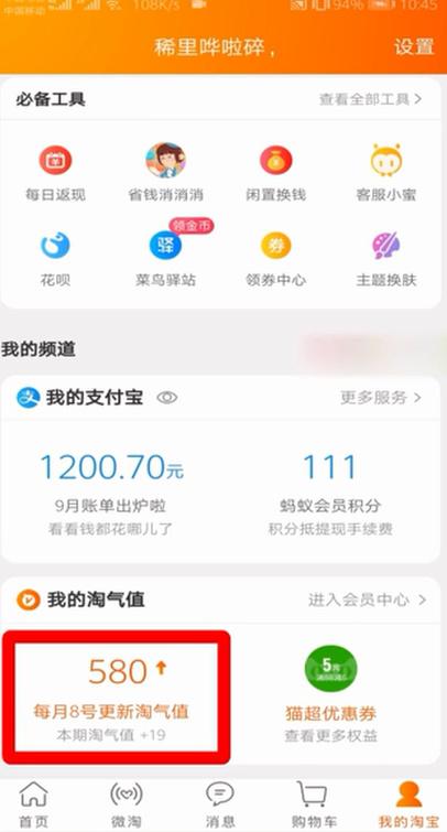 淘宝的淘气值在哪里查，淘宝怎么查看淘气值（淘宝淘气值在哪里看怎么查）