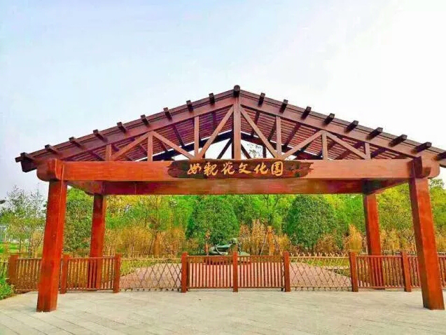 忘忧草文化传承，国色天香传承（来看看中国传统母亲花——萱草）