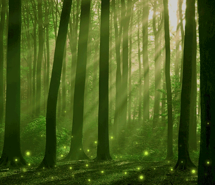 我们祖先的摇篮指的是什么，我们祖先的摇篮是什么（祖先的摇篮）