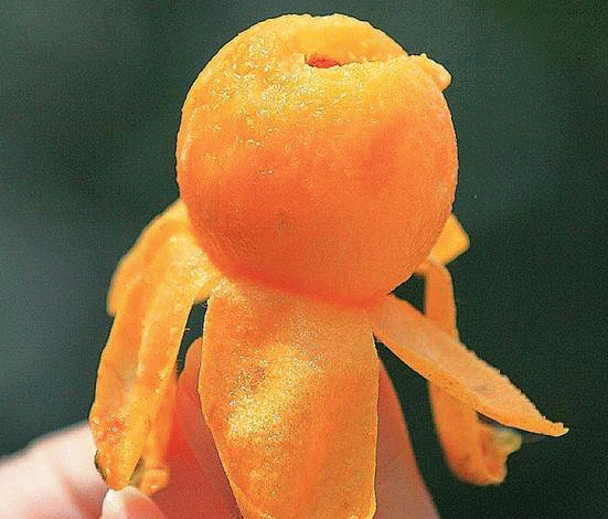 吃枇杷的禁忌，注意，这些人不宜多吃枇杷！