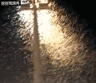 下雨后有很多飞虫是什么原因，下雨天屋里有很多飞虫（最近暴雨后出现大量小飞虫）