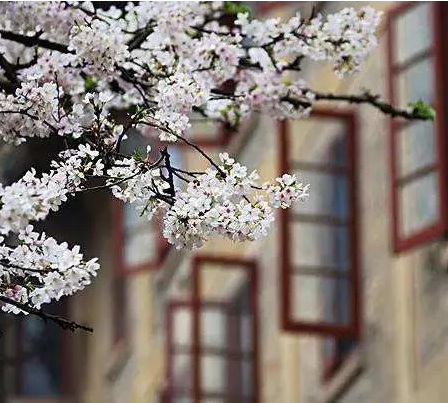 建功立业的诗句，六十句气势磅礴的励志好诗句（这些诗句更适合寄语青年人）