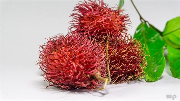 巴旦木是什么，巴旦木是什么木头（多吃以下4种食物）