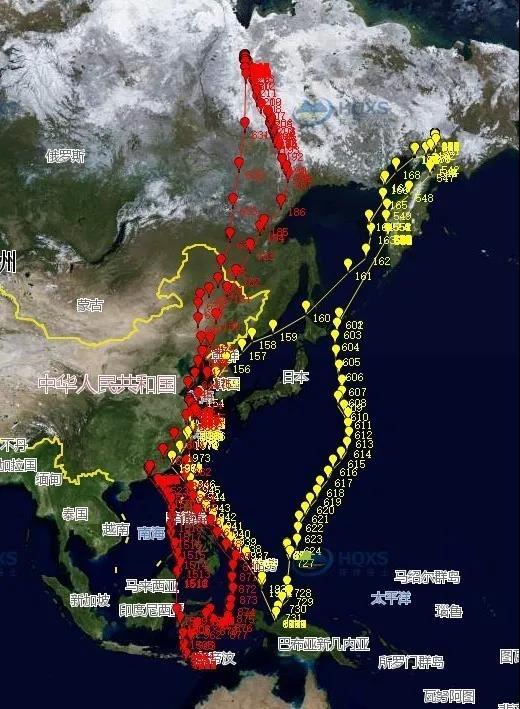 候鸟有哪些鸟类，候鸟有哪些（原来Ta们都去了这些地方……）