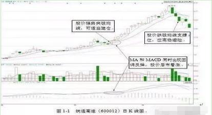 蜻蜓点水的意思(蜻蜓点水形容什么样的人)插图(2)