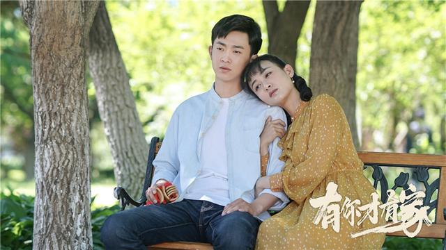 电视剧有你才有家剧情，电视剧有你才有家剧情分集介绍（《有你才有家》圆满收官）