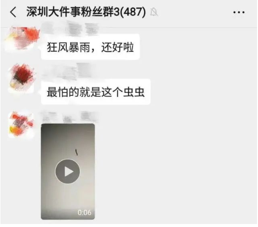 下雨后有很多飞虫是什么原因，下雨天屋里有很多飞虫（最近暴雨后出现大量小飞虫）