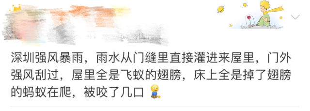 下雨后有很多飞虫是什么原因，下雨天屋里有很多飞虫（最近暴雨后出现大量小飞虫）