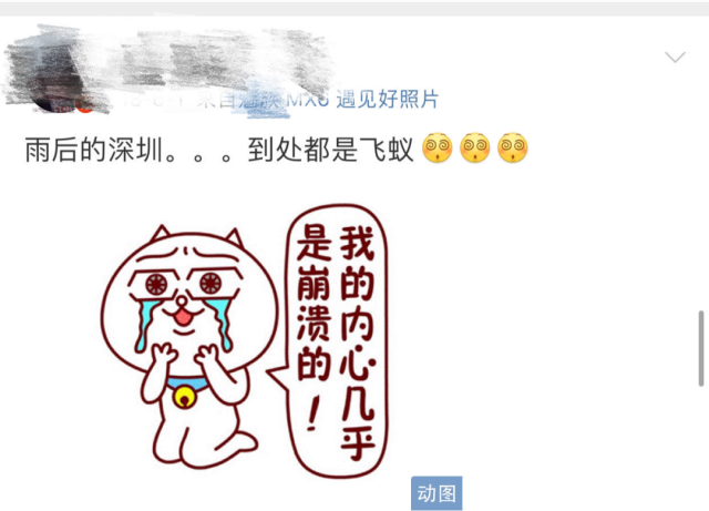 下雨后有很多飞虫是什么原因，下雨天屋里有很多飞虫（最近暴雨后出现大量小飞虫）