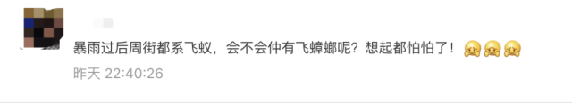 下雨后有很多飞虫是什么原因，下雨天屋里有很多飞虫（最近暴雨后出现大量小飞虫）