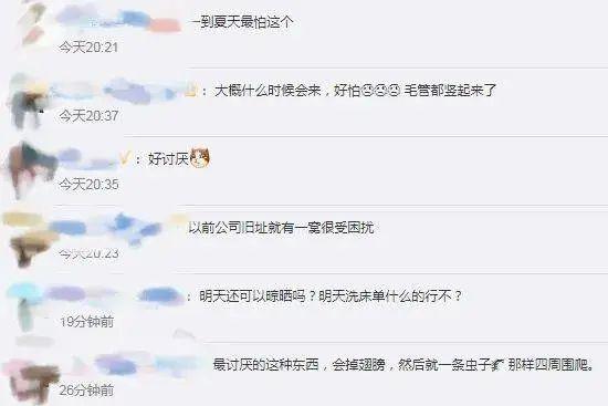 下雨后有很多飞虫是什么原因，下雨天屋里有很多飞虫（最近暴雨后出现大量小飞虫）