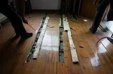 下雨后有很多飞虫是什么原因，下雨天屋里有很多飞虫（最近暴雨后出现大量小飞虫）