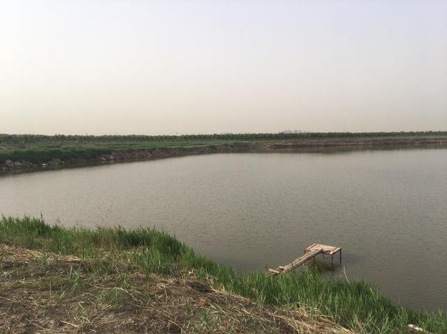 天津钓鱼网论坛，寻觅天津野钓钓鱼达人 水壶哥（说说心得希望对钓友有帮助）