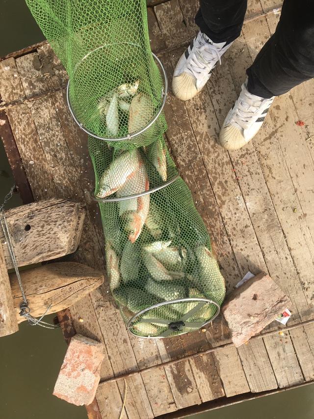 天津钓鱼网论坛，寻觅天津野钓钓鱼达人 水壶哥（说说心得希望对钓友有帮助）