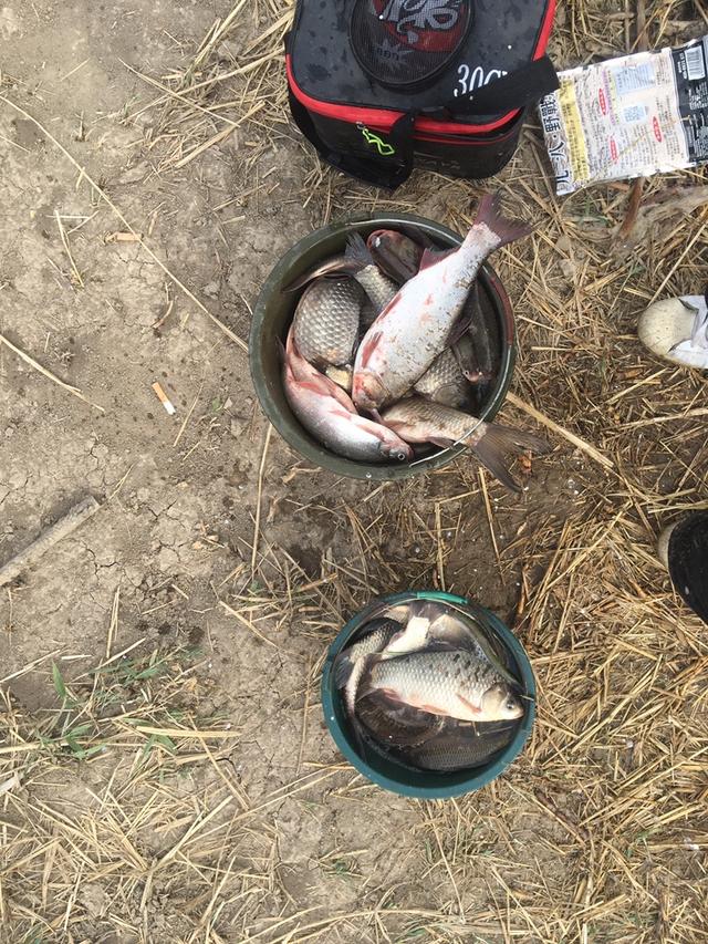 天津钓鱼网论坛，寻觅天津野钓钓鱼达人 水壶哥（说说心得希望对钓友有帮助）