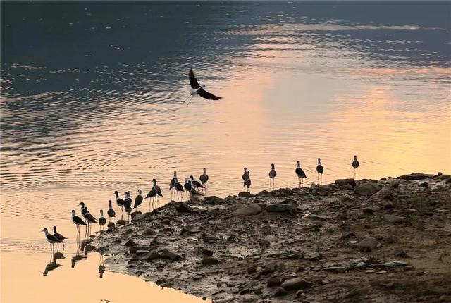 一什么小溪，一什么小溪地上跑,两什么白云天上飘（一处浮云一溪流）