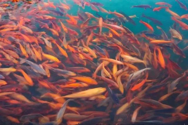 一什么小溪，一什么小溪地上跑,两什么白云天上飘（一处浮云一溪流）