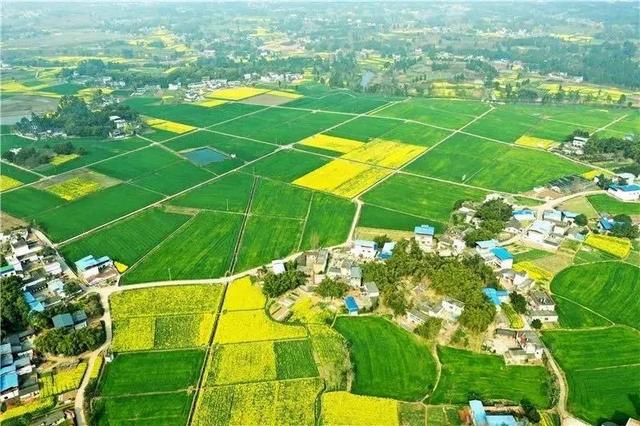 禾加一笔是什么字，禾字加一笔是什么字（乡村变美、群众变富...看）