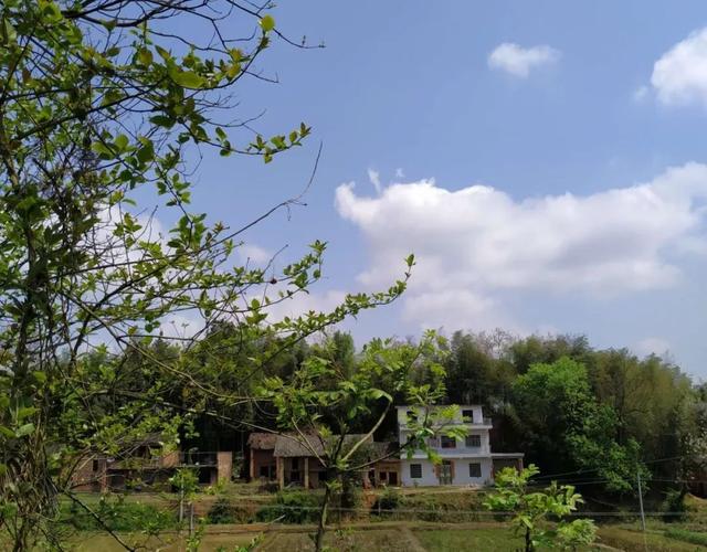 孤然随风简介，孤然随风电子书txt全集下载（故乡白云意无穷）