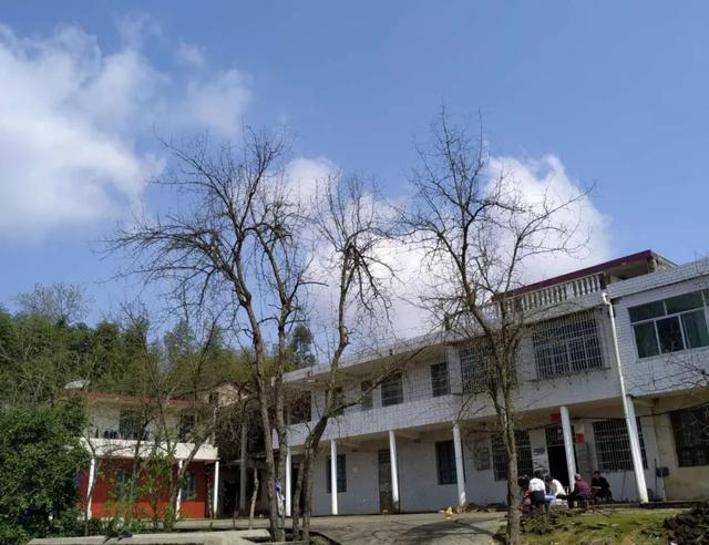 孤然随风简介，孤然随风电子书txt全集下载（故乡白云意无穷）