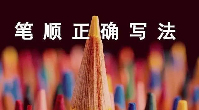 转的笔顺怎么写，转的笔顺 正确（正式出台的笔顺标准写法）