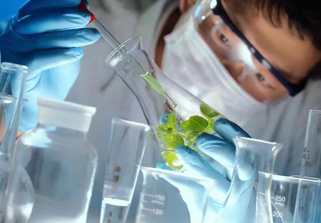 裸氨是什么面料，裸氨是什么面料优缺点（夏天穿它立马“冰冰凉”）