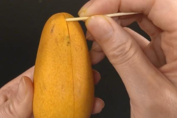 芒果皮可以吃吗，芒果的皮可以吃吗（芒果身上扎一根牙签）