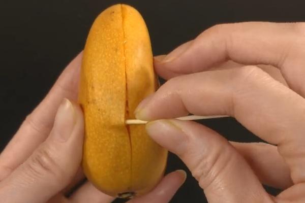 芒果皮可以吃吗，芒果的皮可以吃吗（芒果身上扎一根牙签）