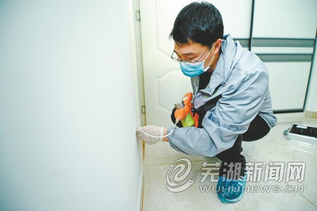 家里有白蚁怎么办，家里有白蚁怎么办能除根（家中发现白蚁怎么办）