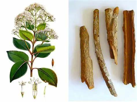 汤力水和苏打水的区别，屈臣氏汤力水和苏打水的区别（藏在二氧化碳中的科学史）