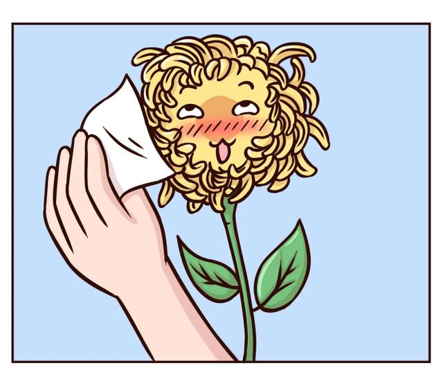 卸妆湿巾和卸妆水区别，卸妆湿巾和卸妆水区别是什么（有些东西一旦试过就再也无法丢掉）