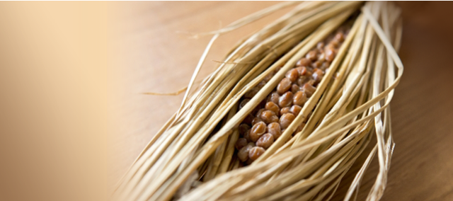 纳豆菌种的起源发展，纳豆菌的农业功效与作用（连日本人都嫌弃的国宝级美食）