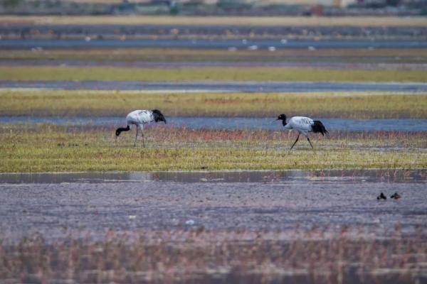 自律，自律的名言名句（就是将这两件事做到极致图片）