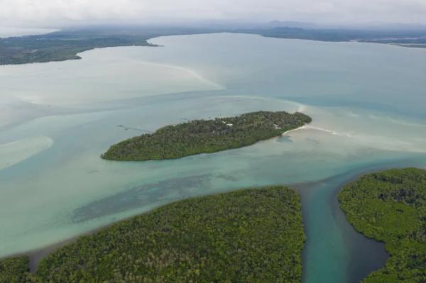自律，自律的名言名句（就是将这两件事做到极致图片）