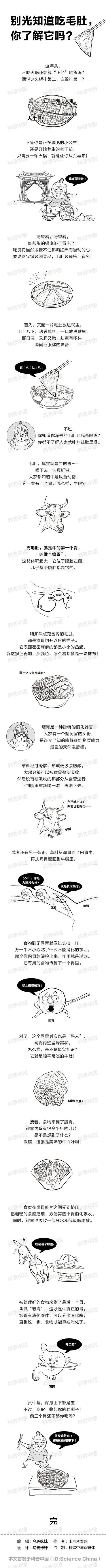 毛肚是什么，毛肚是什么颜色（别光知道吃毛肚）