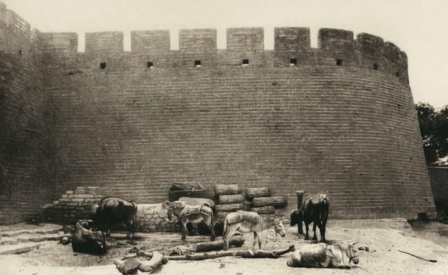 明城墙遗址公园介绍，明城墙遗址公园位置（那些消失的北京城墙）