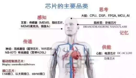 科技股票有哪些，科技股龙头有哪些（未来有望成为下一只10倍、100倍大牛股）