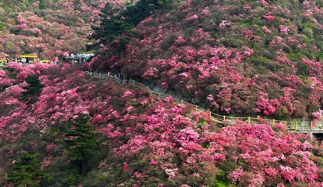 木兰山风景区旅游攻略，木兰山风景区怎么去（吐血整理11个景区全攻略）