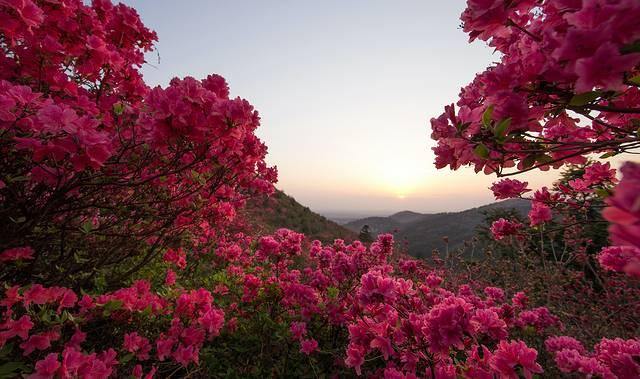 木兰山风景区旅游攻略，木兰山风景区怎么去（吐血整理11个景区全攻略）