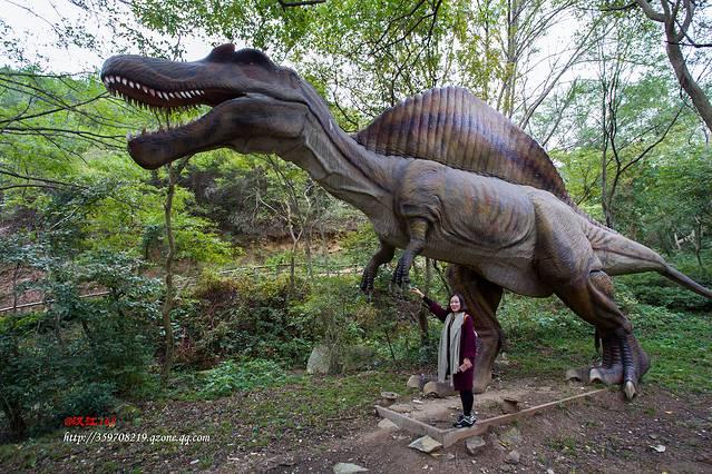 木兰山风景区旅游攻略，木兰山风景区怎么去（吐血整理11个景区全攻略）