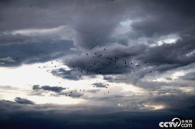 太阳岛在哪里，洛阳市宜阳县太阳岛在哪里（太阳岛诗意落日美如绝句）