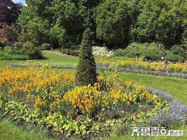 野餐日记，野餐日记300字（跟朋友骑自行车去海德公园野餐）