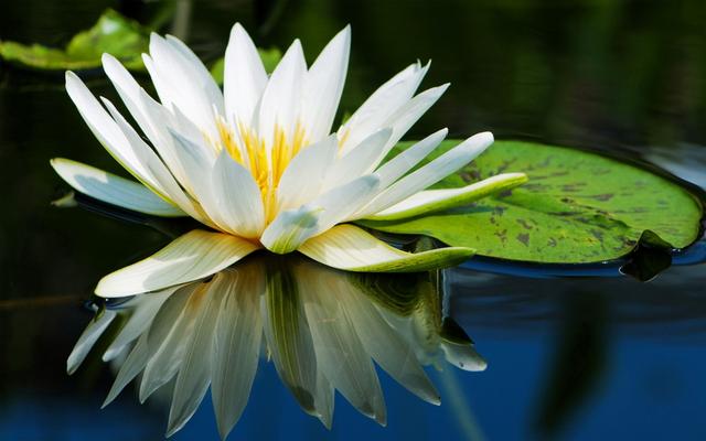 流年花开刺缘故事简介，流年花开小说刺缘（谁持妙笔绘初夏）