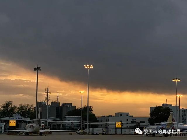 半码垫是什么，半码垫是什么意思（入夏买的这些好物）
