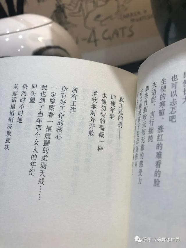半码垫是什么，半码垫是什么意思（入夏买的这些好物）