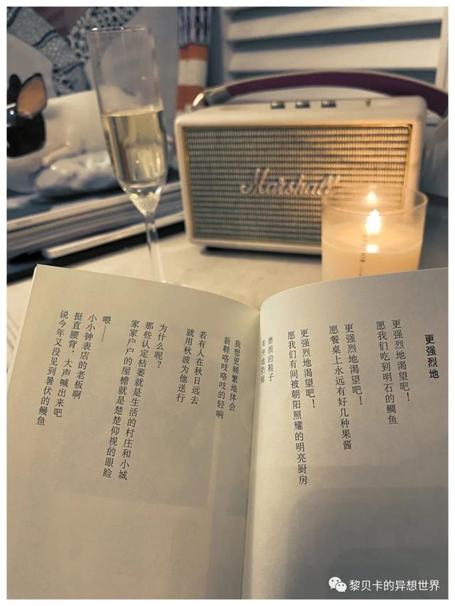 半码垫是什么，半码垫是什么意思（入夏买的这些好物）