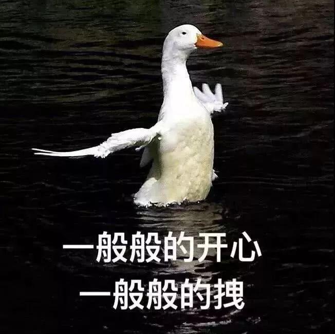 淘宝头像图片大全(网店logo图片大全)